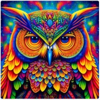 Diamantové malování s diamanty ve tvaru čtverce - Sova 3, 40 x 40