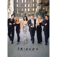 Aquarius puzzle Friends - 500 dílků