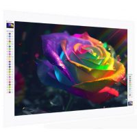 Diamantové malování s kulatými diamanty - Duhová růže, 35 x 50