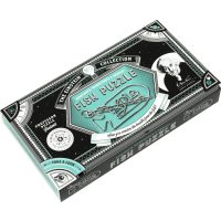 PROFESSOR PUZZLE Hlavolam Albert Einstein č.5 - Fish Puzzle