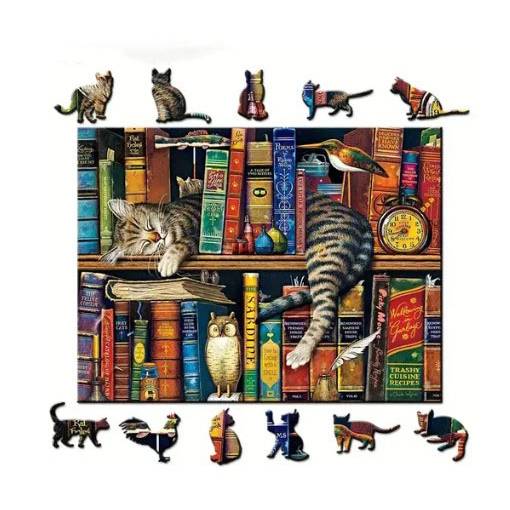 Foto - Klasické dřevěné puzzle - Spící kočka v knihovně, A4