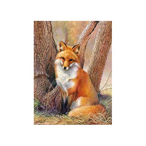 Foto - Diamantové malování - Liška v lese, 20 x 30