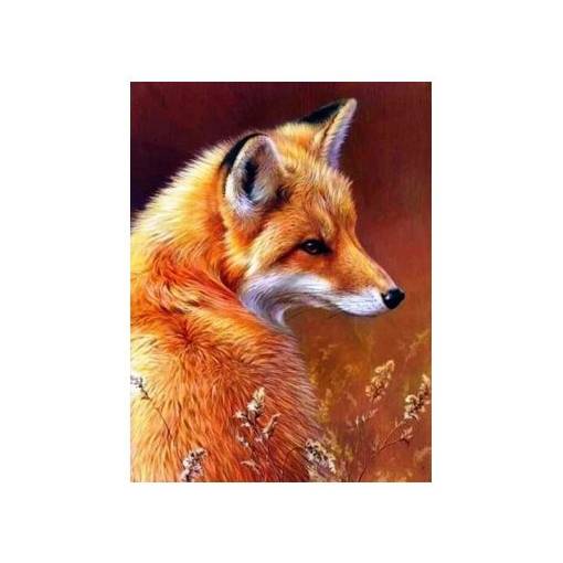 Foto - Diamantové malování - Liška, 50 x 70