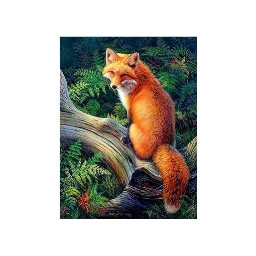 Foto - Diamantové malování - Lesní liška, 40 x 50