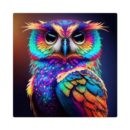 Foto - Diamantové malování s kulatými diamanty - Sova 1, 40 x 40