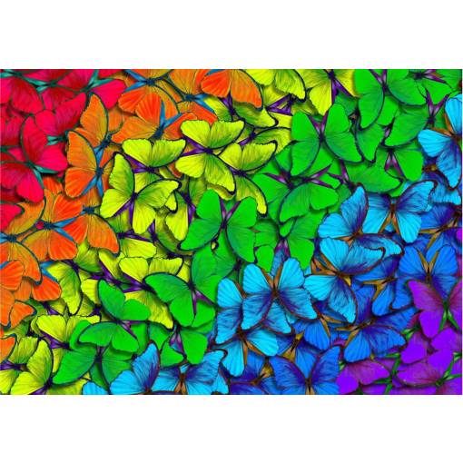 Foto - Enjoy puzzle - Rainbow Butterflies, 1000 dílků