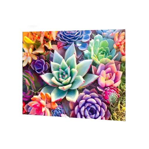 Foto - Diamantové malování s kulatými diamanty - Kaktusy, 30 x 40