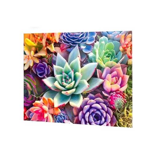 Foto - Diamantové malování s kulatými diamanty - Kaktusy, 40 x 50