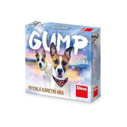 Foto - Dino rychlá karetní hra - Gump Jsme dvojka