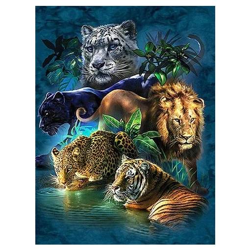 Foto - Diamantové malování s kulatými diamanty - Zvířata džungle, 40 x 50