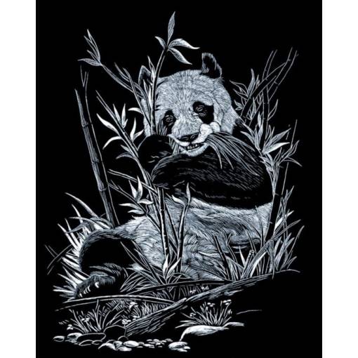 Foto - Stříbrný škrabací obrázek - Panda
