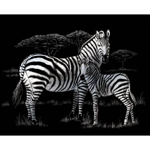 Foto - Stříbrný škrabací obrázek - Zebra s mládětem